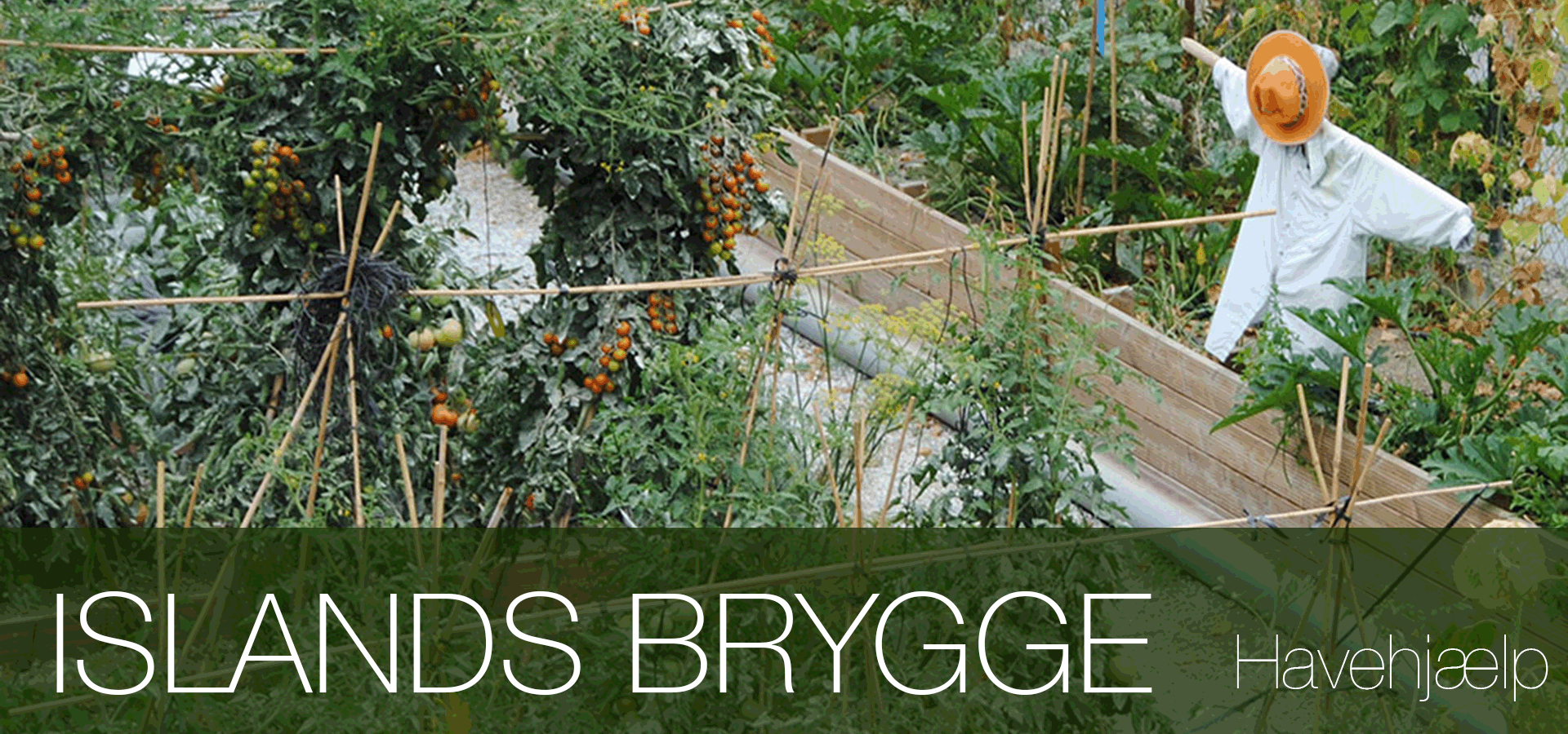 Havearbejde lokalt Islands Brygge