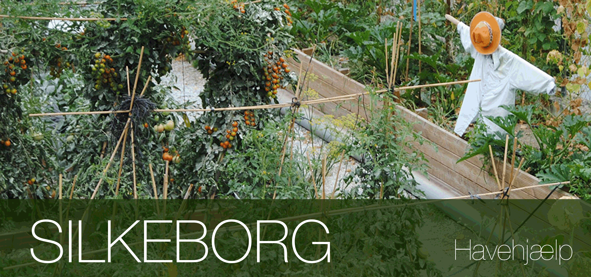Havearbejde lokal havehjælp Silkeborg